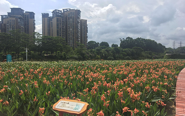 環境綜合治理2