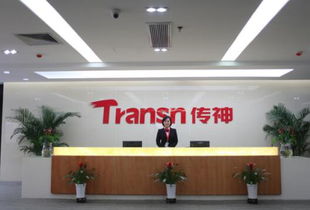 傳神語聯網全鏈布局初步完成 助力翻譯回歸服務本質